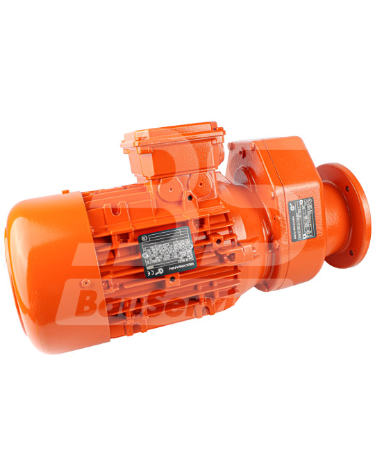 Motore principale 6.05 kW Putzmeister originale foto