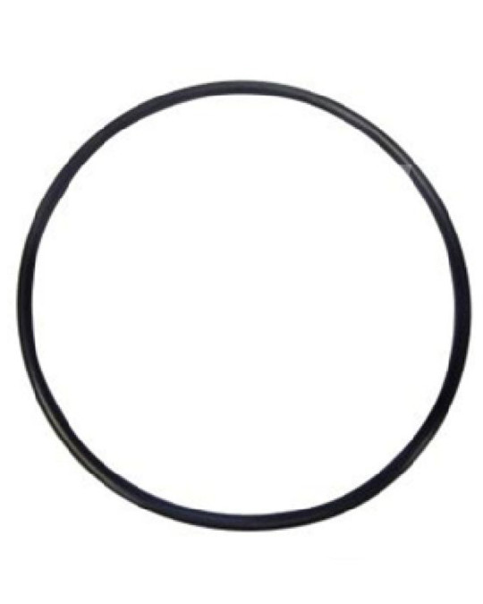 Versiegelungsring 110.72x3,53 mm N NBR 70 DIN 3771 Putzmeister /Brinkmann Original Foto