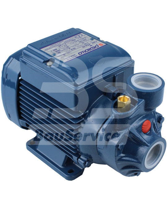 Pompa apa PKm65 230V PFT foto