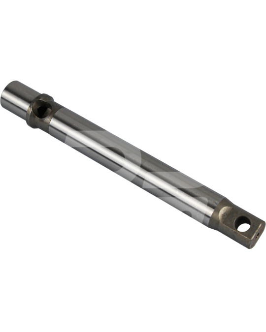 Kolbenstange CH1595 Foto