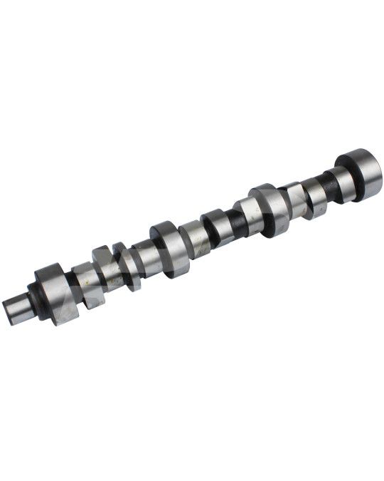 Camshaft Deutz 2011 photo