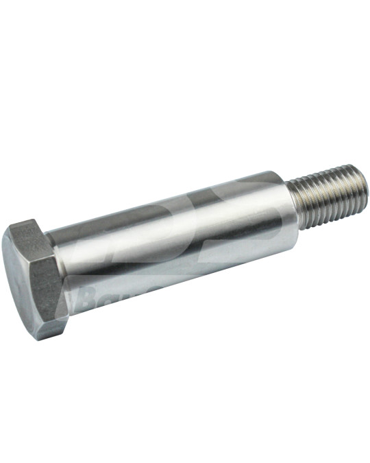 Parafuso de fixação do suporte do rolo tensor Brinkmann Original foto