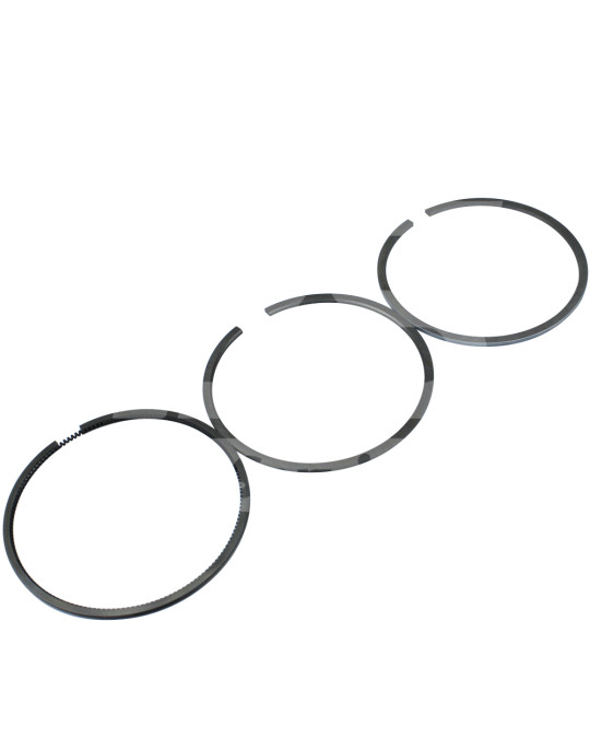 Fasce elastiche (STD) 1011/1011F Deutz foto