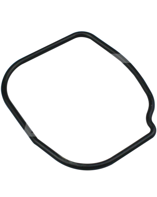 Junta da bomba de óleo Brinkmann Putzmeister 1011F/2011 foto