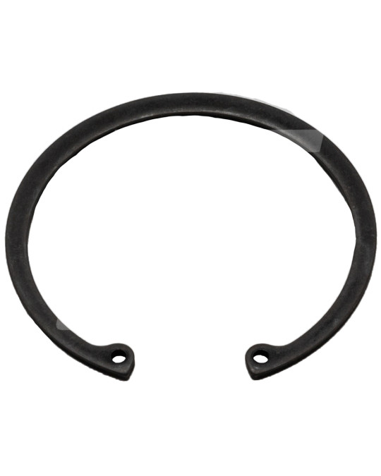 Стопорне кільце великого редуктора 60х2 мм Putzmeister Original фото