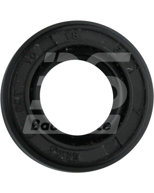 Сальник 10x18x6 мм NB BA игольчатого подшипника Putzmeister P13 фото