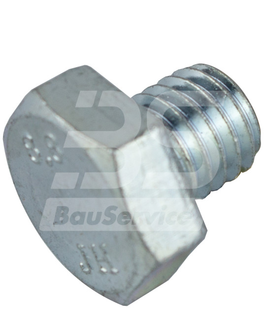 Șurub flanșă cilindru M10x10 mm Brinkmann DC 260/43 foto