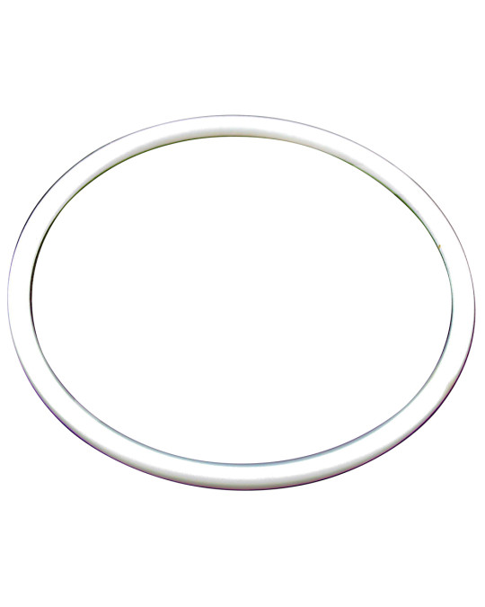 Cilindro con anello di tenuta Rif.221 GRACO 1095 /1595/Mark V (analogico) foto