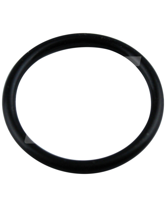 Anel de borracha da válvula anti-retorno Brinkmann 30x3 mm foto