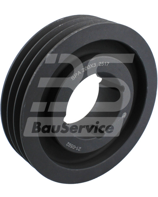 Puleggia trascinamento canna BMS SPA 200/3 TV 2517 foto