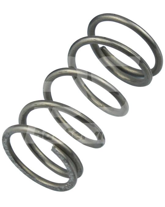 Mola da válvula de retenção 1210/1" Brinkmann DC 260/22/43 Original foto