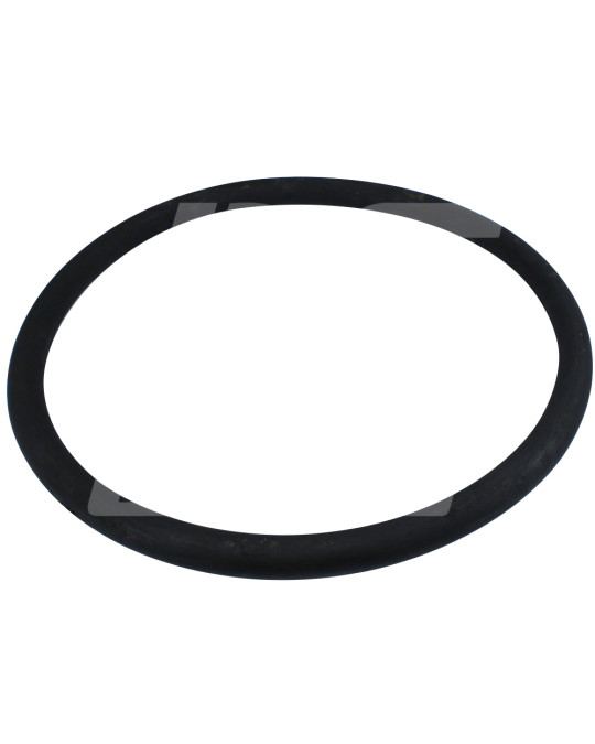 Vedação da tampa do cano Putzmeister Brinkmann monólito (junta) foto