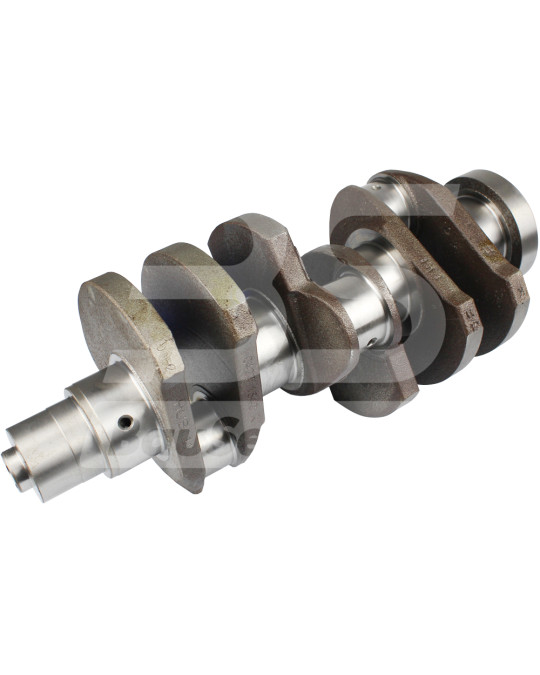 Arbore cotit Deutz F3L1011/ F3L1011E/ F3L1011F foto