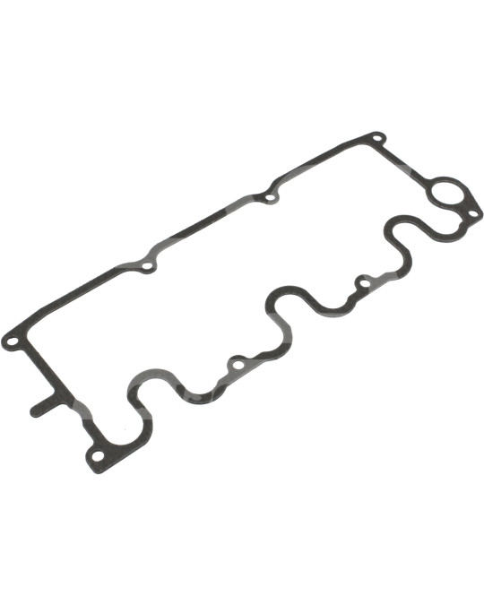 Valve cover gasket F3L1011F VICTOR REINZ photo