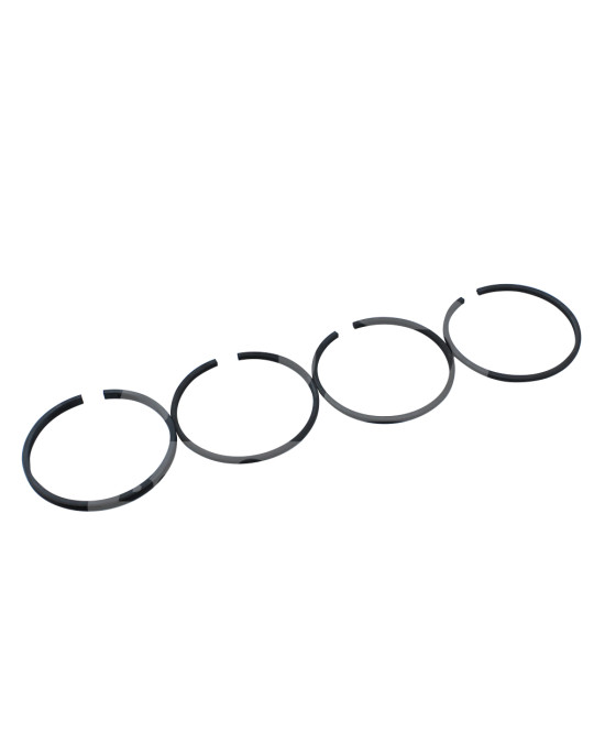 Fasce elastiche del compressore 75 mm GOETZE STD Putzmeister P13 foto