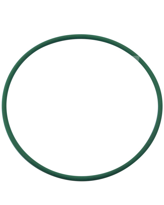 Brinkmann-Schraubkompressordichtung (grün) O-Ring Original Foto