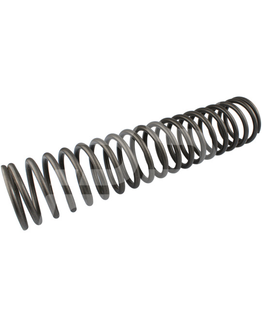 Arc piston Putzmeister P13 Original foto