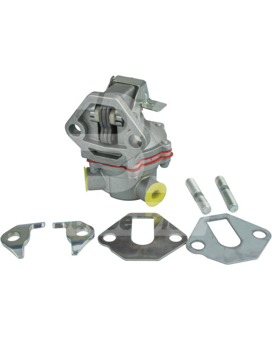 Pompa carburante per motore Putzmeister Hatz 2G40 (con primer) Originale foto