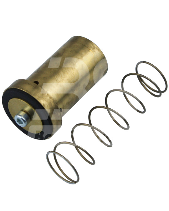 Kit de reparo de válvula de retenção Brinkmann 260/45/55 450/550 Original foto