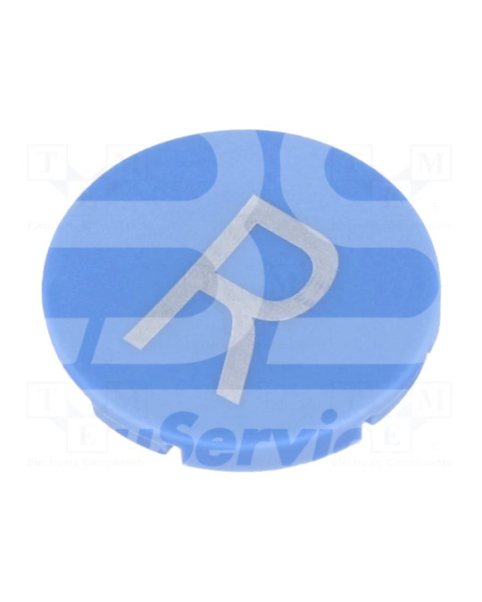 Druckplatte für den „Hauptmotor-Reverse“-Taster M22 blau Foto