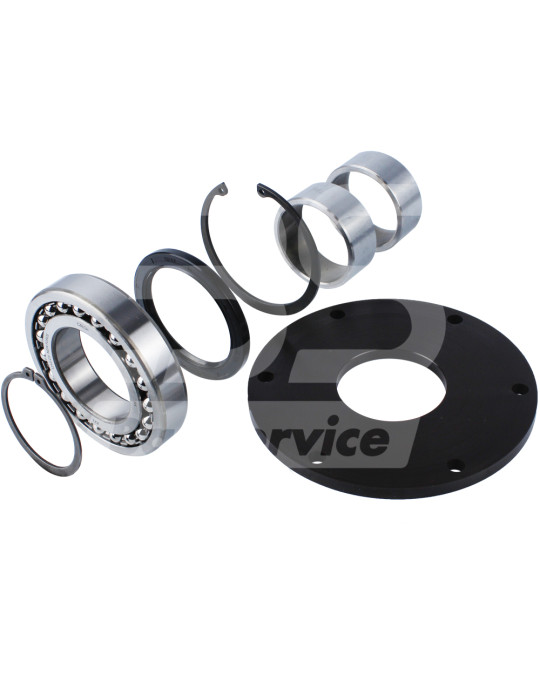 Kit di riparazione per la flangia posteriore della canna Brinkmann 450/550 (guarnizione asta in poliuretano) foto