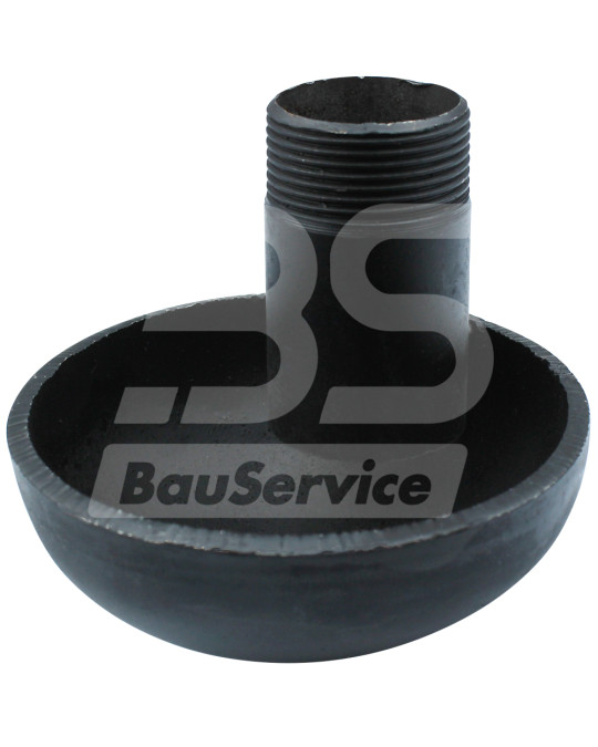 Brinkmann-Fassdeckelpilz Foto