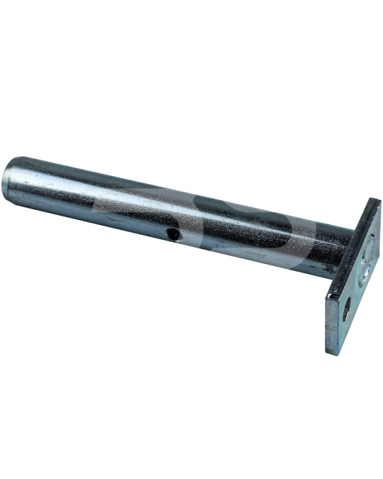 Eixo do funil de alimentação G-20x145 mm Putzmeister 740 Original foto