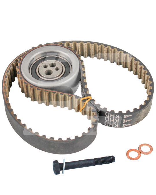 Kit distribuzione 2011 Brinkmann Putzmeister foto