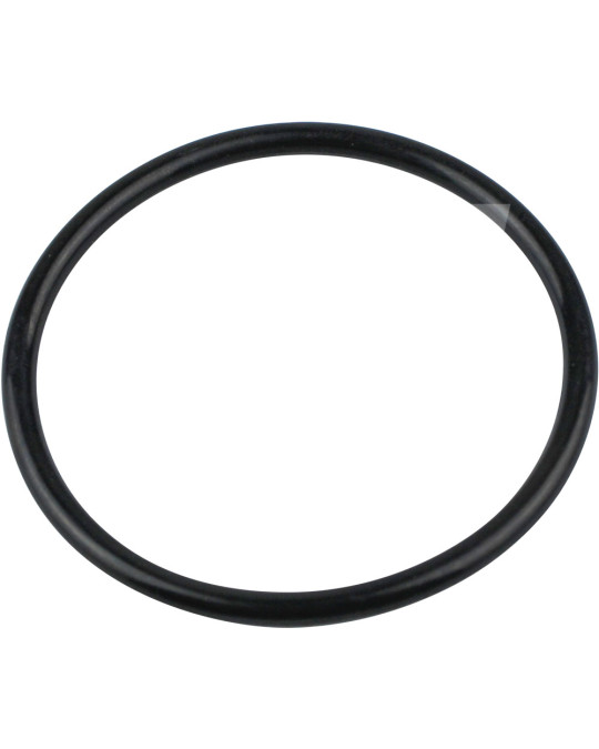 Junta 54x3 mm sob a sede plástica da esfera metálica rotativa da válvula Putzmeister P13 Original foto