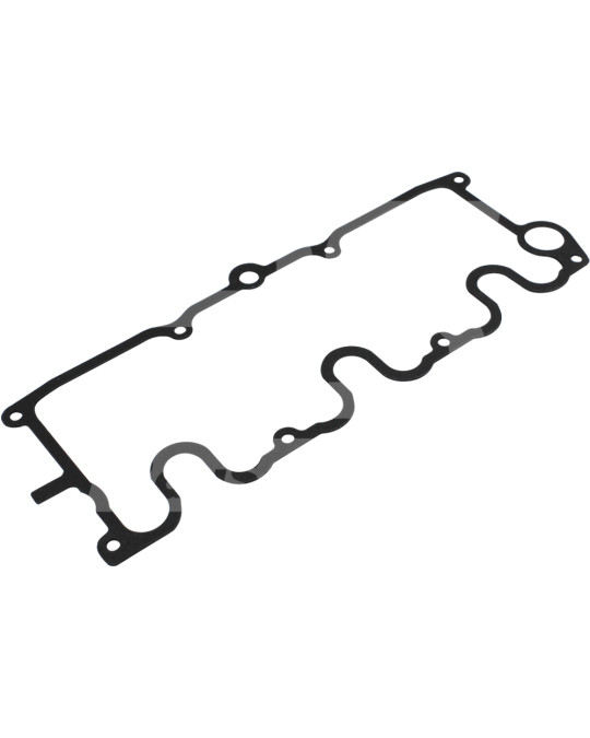 Guarnizione coperchio valvola F3L1011F Deutz foto